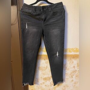 Democracy 8p skinny like new